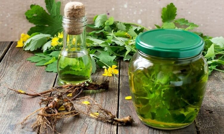 tinktura celandina za gljivice noktiju